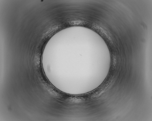 X0000112110545200909011148