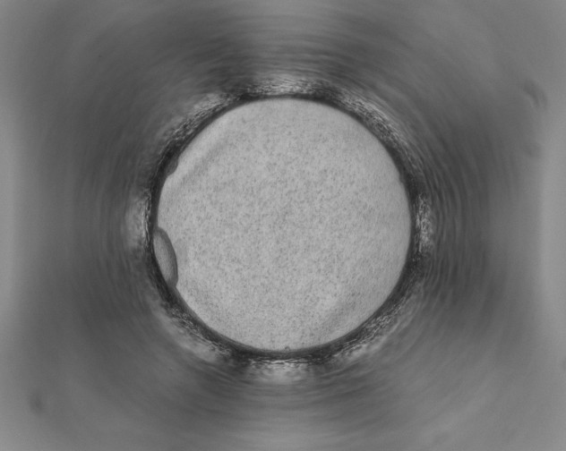 X0000112110546200909011148