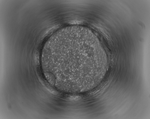 X0000112110547200909011148