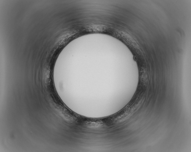 X0000112110548200909011148