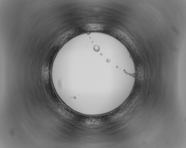 X0000112110549200909011148