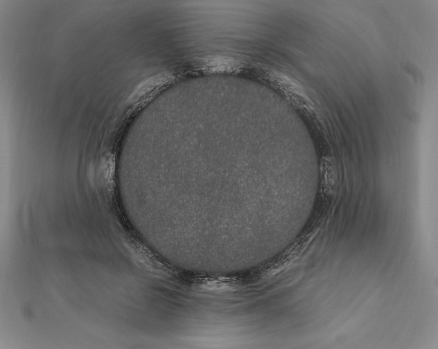 X0000112110550200909011148
