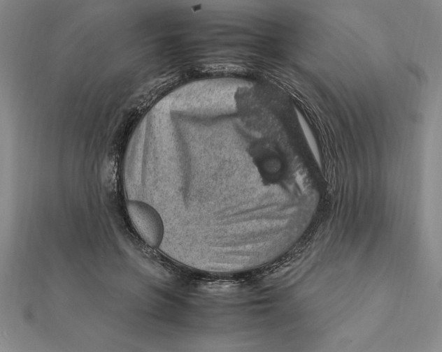 X0000112110551200909011148