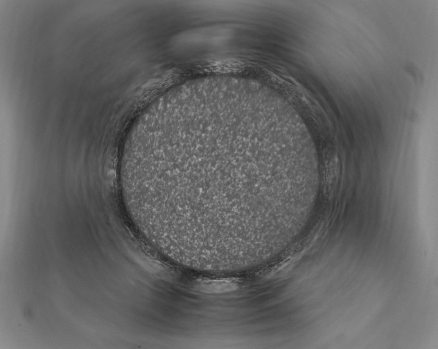 X0000112110553200909011148