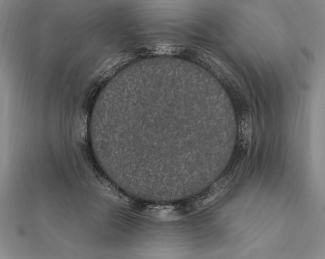 X0000112110554200909011148