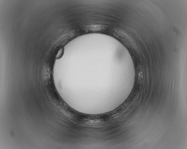 X0000112110555200909011148