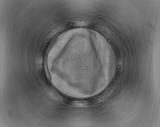 X0000112110556200909011148