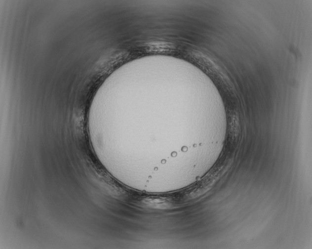 X0000112110557200909011148
