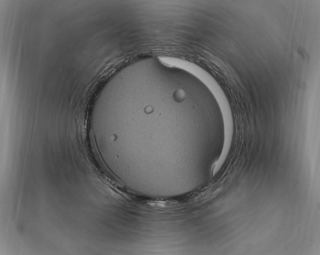 X0000112110558200909011148