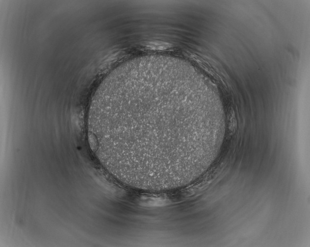 X0000112110559200909011148