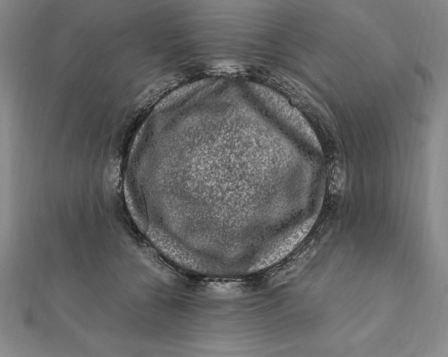 X0000112110560200909011148