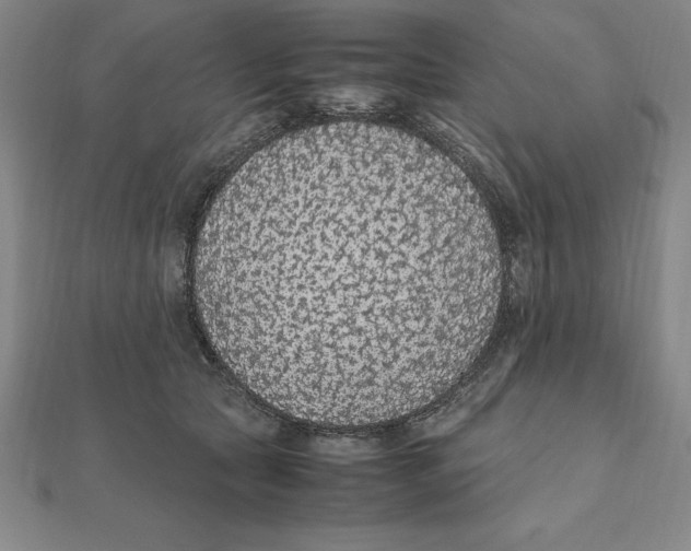 X0000112110561200909011148