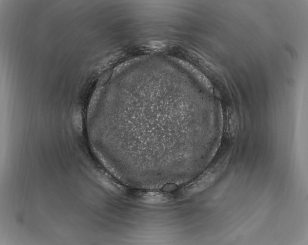 X0000112110562200909011148