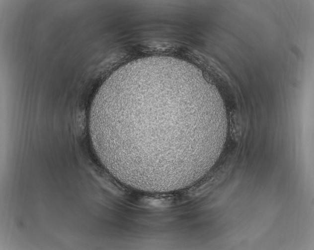 X0000112110563200909011148