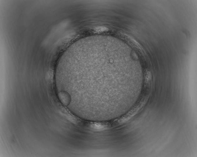 X0000112110565200909011148