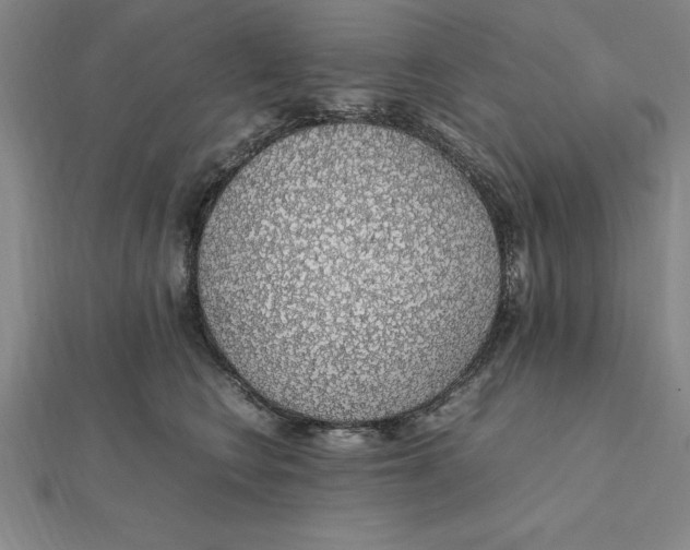 X0000112110566200909011148