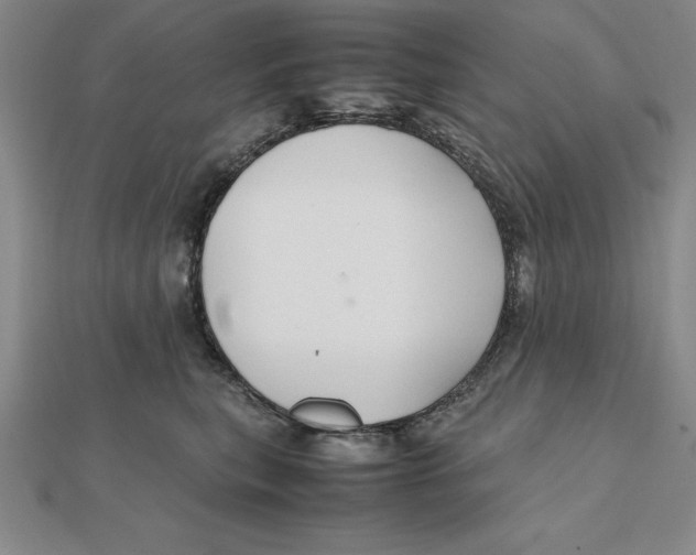 X0000112110567200909011148