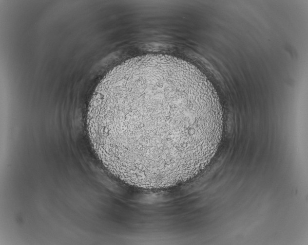 X0000112110569200909011148