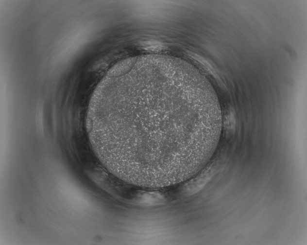 X0000112110572200909011148