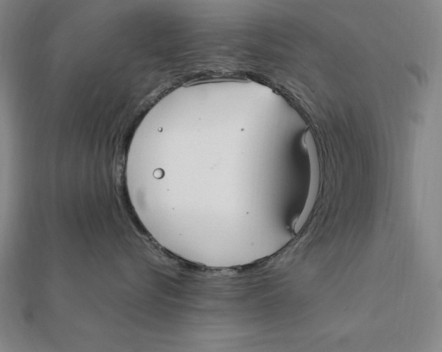 X0000112110576200909011148