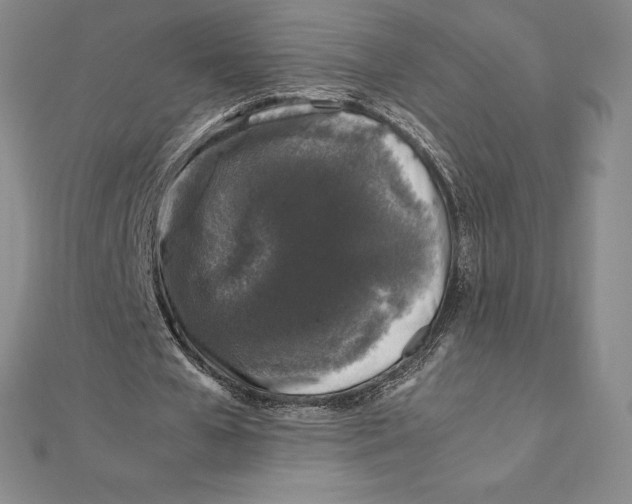 X0000112110577200909011147