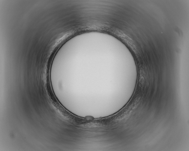 X0000112110578200909011147
