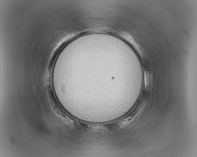 X0000112110579200909011147