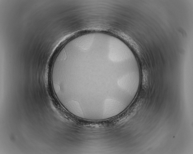 X0000112110580200909011147