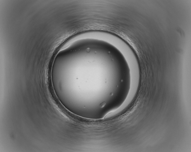 X0000112110581200909011147