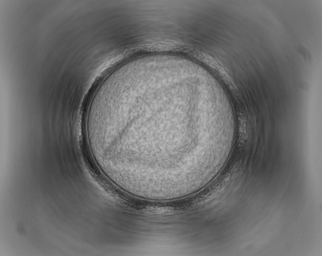 X0000112110582200909011147
