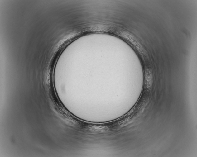 X0000112110583200909011147