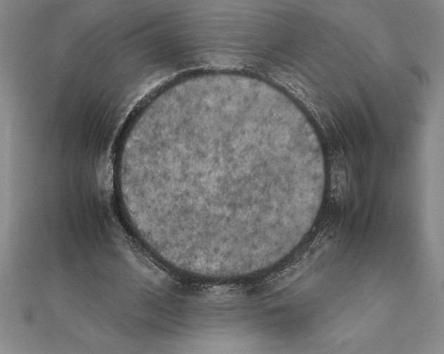 X0000112110584200909011147