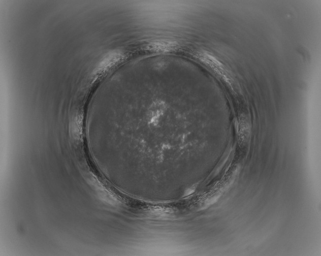 X0000112110585200909011147