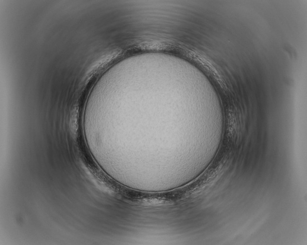 X0000112110586200909011147