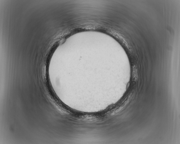 X0000112110589200909011147