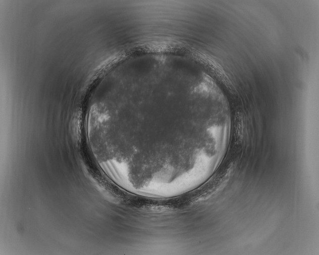 X0000112110590200909011147