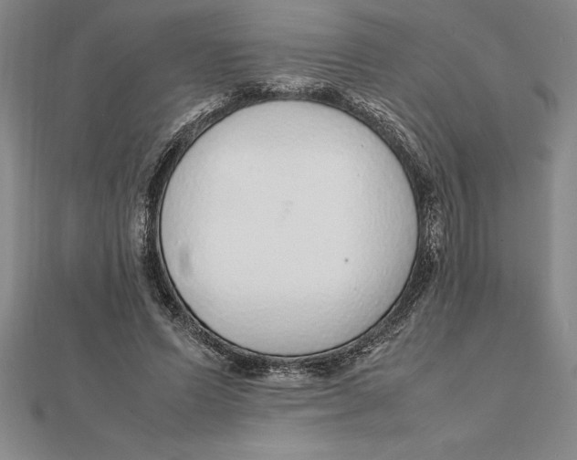 X0000112110591200909011147