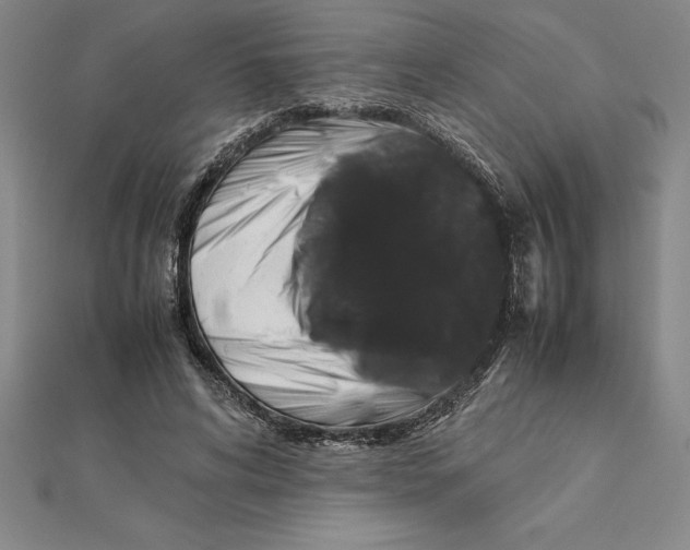 X0000112110592200909011147