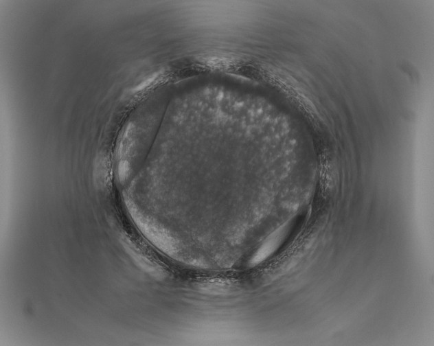 X0000112110593200909011147