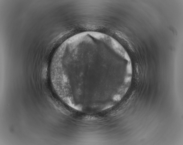 X0000112110596200909011147