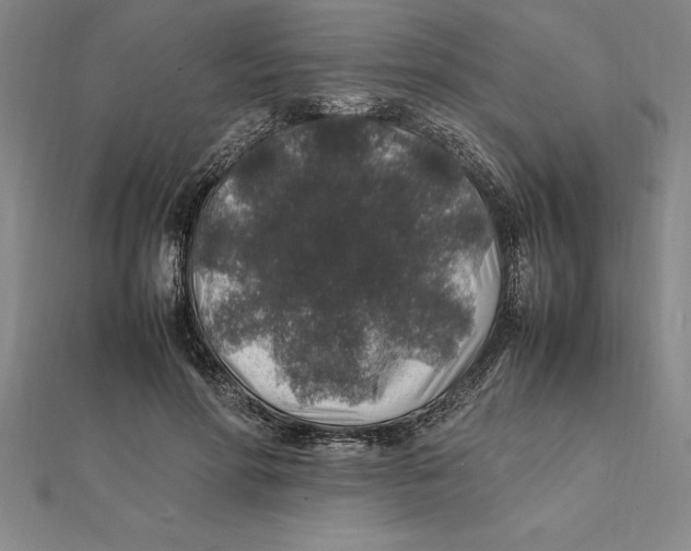 X0000112110598200909011147