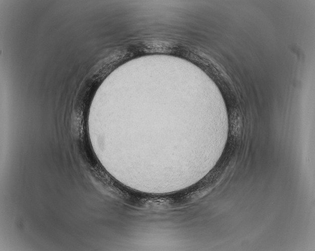 X0000112110599200909011147