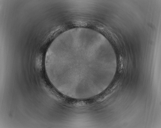 X0000112110600200909011147