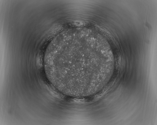 X0000112110606200909011147