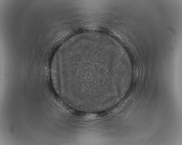 X0000112110609200909011147