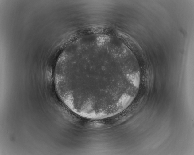 X0000112110610200909011147