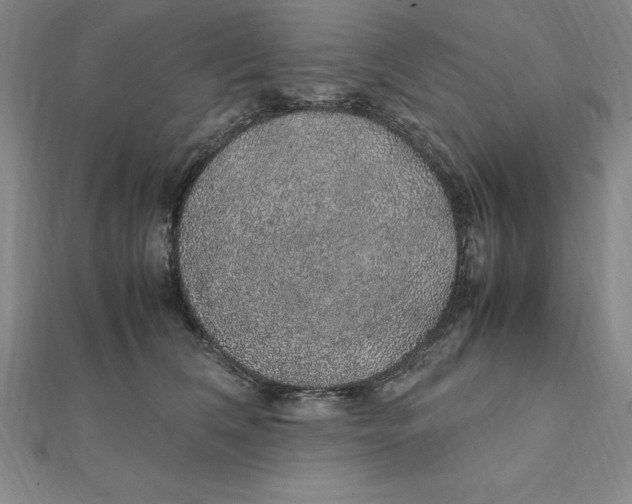 X0000112110612200909011147