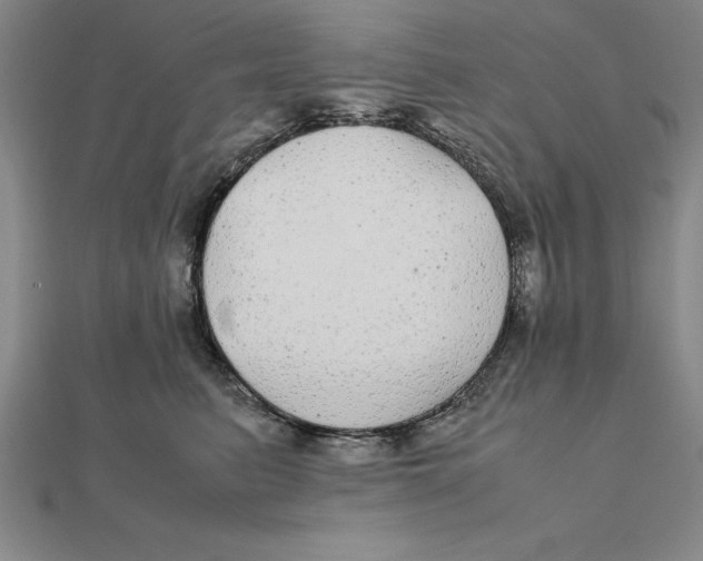 X0000112110615200909011147