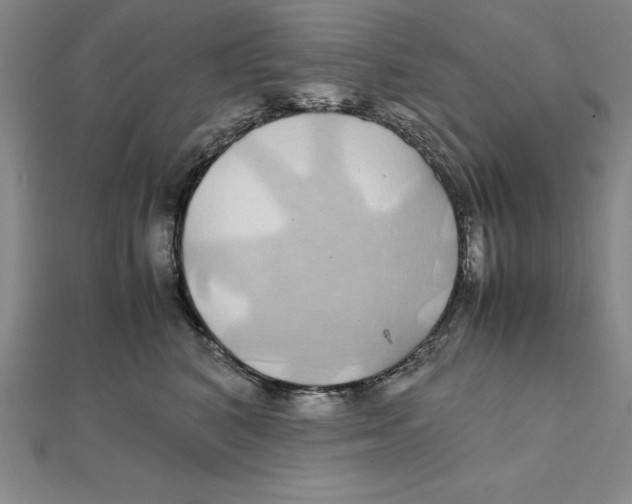 X0000112110616200909011147