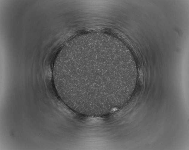 X0000112110617200909011147